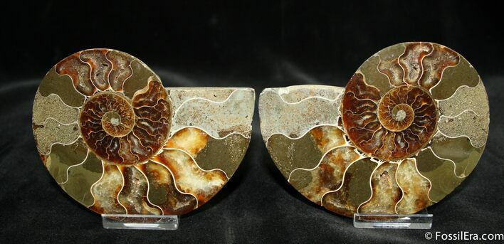 Inch Polished Pair From Madagascar #1446